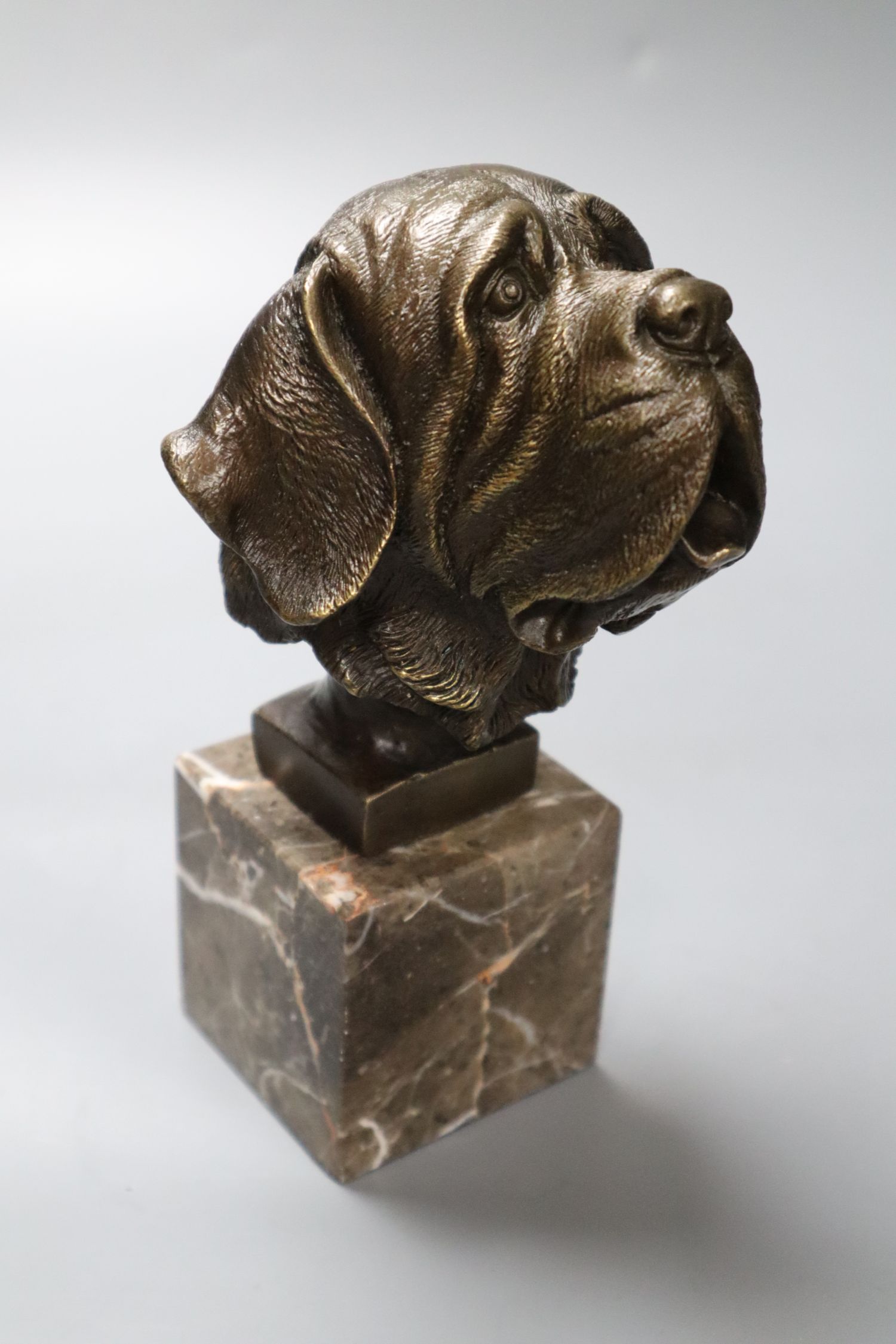 After Yanez. A modern bronze dog head, on marble plinth, 18cm